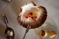 Stemningsbillede fødevarer Stemningsbillede fødevarer