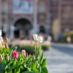 Motiv ved Rijksmuseum