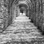 Motiv ved Rijksmuseum