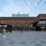 Keukenhof blomsterpark