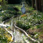 Keukenhof blomsterpark