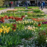 Keukenhof blomsterpark