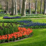 Keukenhof blomsterpark