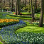 Keukenhof blomsterpark