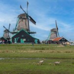 Motiv fra Zaanse Schans